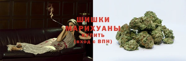 прущие грибы Навашино