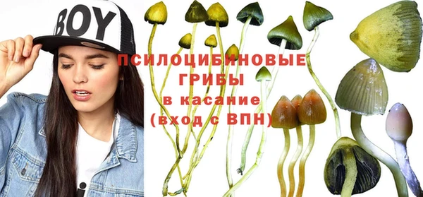 кокс Нефтекумск