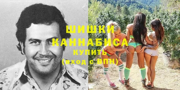 мет Анива