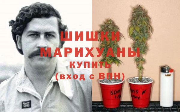 кокс Нефтекумск