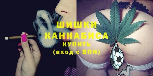 бошки Нея